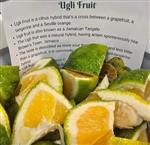 Ugli Fruit cut up in a bucket